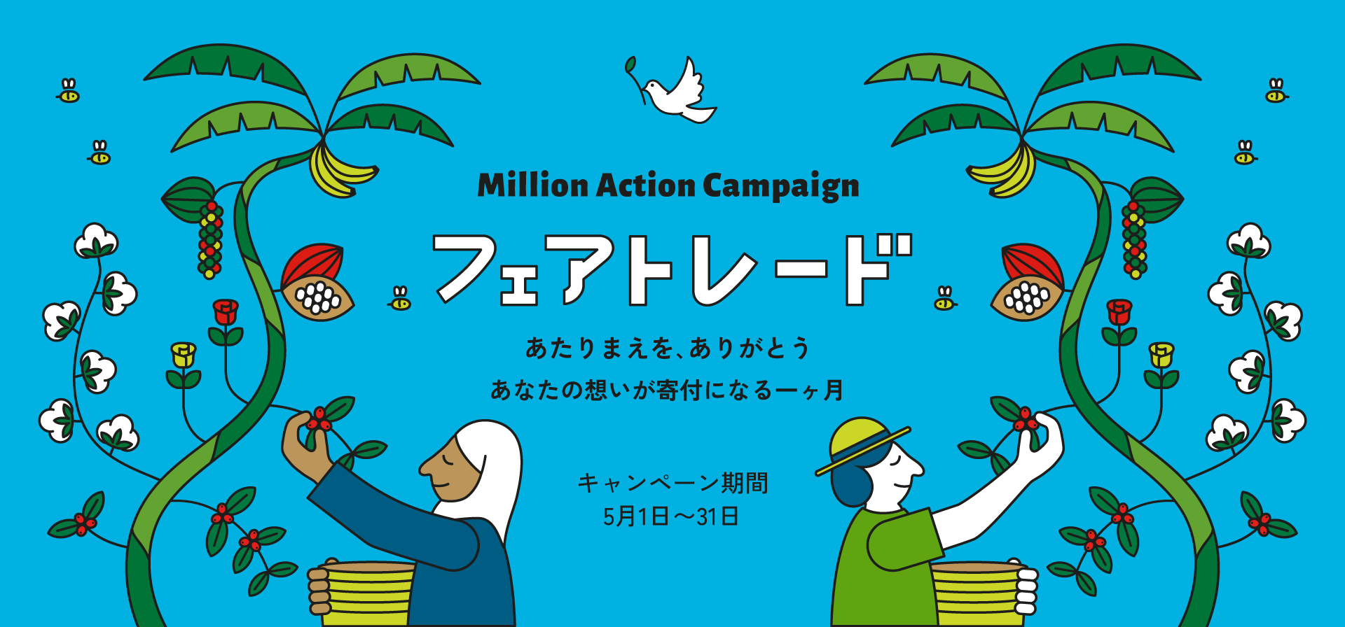 新着情報