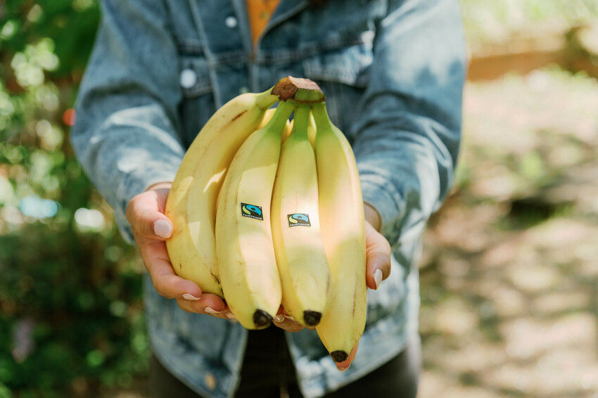 Banany-Fairtrade_fot Anna-Maria Langer-Fairtrade.jpg