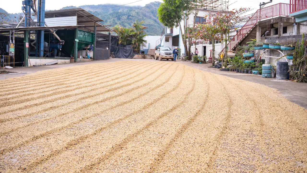 fot-COCREBISTOL - Fairtrade CLAC